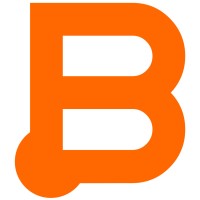 Business Instincts Group (BIG) logo - Similar company to Seed Homes