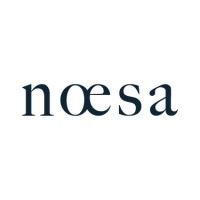 Noesa logo - Similar company to Moral