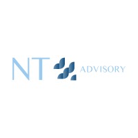 NT Advisory logo - Similar company to Stablecomp