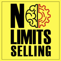 No Limits Selling logo - Similar company to Celestix Networks, Inc.