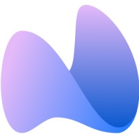 Numsage logo - Similar company to Network Under 40