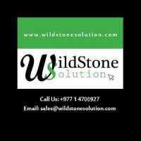WildStone Solution logo - Similar company to Home Tech Geeks
