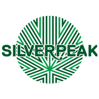 Silverpeak logo - Similar company to Edun