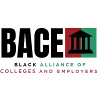 BACE Careers logo - Similar company to Gotlucy Llc