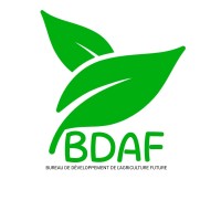 Bdaf Agro logo - Similar company to Bd Star Agro Foods