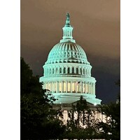 The Advocacy Coach