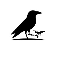 Wounded Crow logo - Similar company to Smc Construction - Contracting