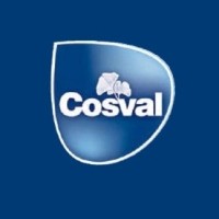 Cosval S.p.A logo - Similar company to Egade Srl