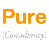 Pure Consultancy Limited logo - Similar company to Pure Consultancy