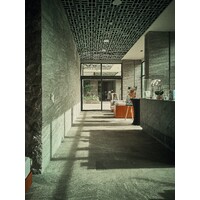 Ceasar Hotel Service logo - Similar company to Mont Blanc Hotel Service