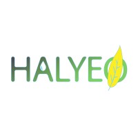 Halyeo logo - Similar company to Ecoenergy Plus