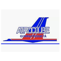 Aeroclube de Guaratinguetá logo - Similar company to Aceg - Associação Comercial E Empresarial De Guaratinguetá
