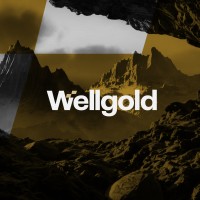 Wellgold DMCC logo - Similar company to Goldstream Global