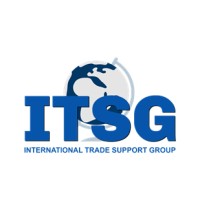 ITSG World Ltd logo - Similar company to Mindhamok