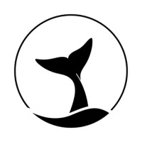 Shoosh - Visual Encryption System logo - Similar company to Crygma