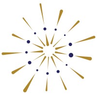 Psyray logo - Similar company to Radius