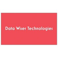 Data Wiser Technologies logo - Similar company to Infoserv™