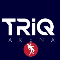 TRiQ arena AB logo - Similar company to Treetrunk Digital