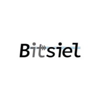 Bitsiel logo - Similar company to Actendo B.V.