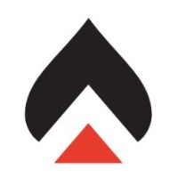 Ace Dental Executives