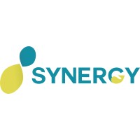 Synergy Consulting logo - Similar company to 4 Tech Gmbh
