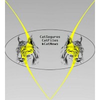 #CatSeguros / #CatNews / #CatFiles logo - Similar company to Prosimed