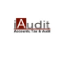 iAudit logo - Similar company to Iaudit