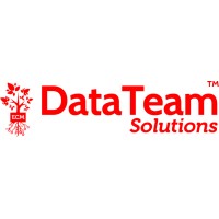 DataTeam Solutions logo - Similar company to Digicorp Ee