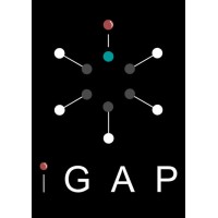iGAP (iGlass Asia Pacific Pte Ltd) logo - Similar company to Integri Consulting
