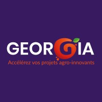 GEORGIA logo - Similar company to Cid - Centre De Ressources Des Industries De Défense