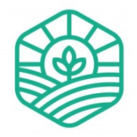 Amingo
