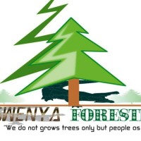 Ngwenya Forestry Services pty Ltd logo - Similar company to Forestry Solutions Africa