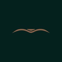 Venere Vision logo - Similar company to Emerson Consulting Germany