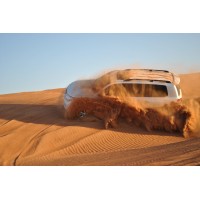 Princess Tourism logo - Similar company to Bitcodesolution