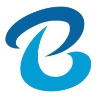 B-L Group Service Georgia logo - Similar company to Electrify Georgia
