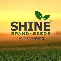 Shine Brand Seeds logo - Similar company to Rise Digitech