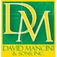 DAVID MANCINI & SONS, INC. logo - Similar company to Noury Construction Co