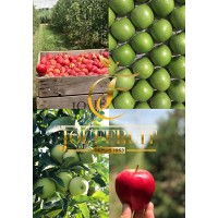 JOUFFRUIT logo - Similar company to Cardell Export