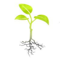 Life Is My Movie Entertainment logo - Similar company to The Able Channel