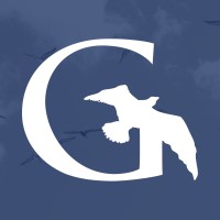 Gullview Technologies logo - Similar company to Cloud Nov8