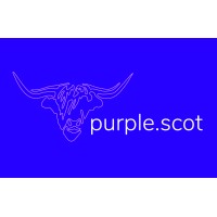 Purple.scot logo - Similar company to Borgun
