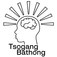 Tsogang Bathong logo - Similar company to Aptronics (Pty) Ltd.