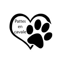 Pattes en cavale logo - Similar company to Pet Alert