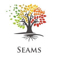 SEAMS logo - Similar company to Trans-Executive Srl