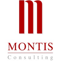 Montis Consulting AG