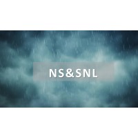 NGO Safety and Security North Lebanon logo - Similar company to Arab Ngo Network For Development - Annd