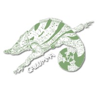 CALUMMA ECOLOGICAL SERVICES logo - Similar company to Dha