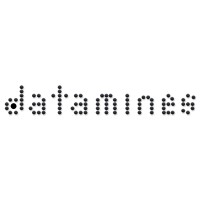 datamines logo - Similar company to Datamatrix Solutions