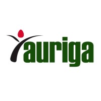 Auriga Nusantara logo - Similar company to Trex System