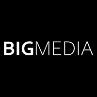 Big Media - Digital Marketing Agency logo - Similar company to Analog Media - 360° Digital Marketing Agency